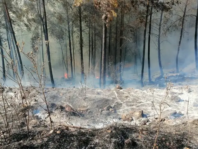 Kumluca'daki orman yangını söndürüldü