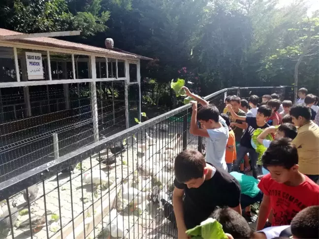 Öğrencilerden, Türkiye Deniz Canlıları Müzesi'ne ziyaret