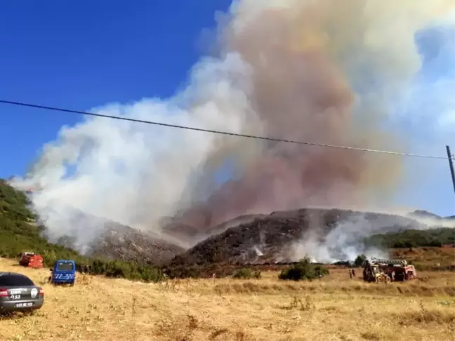 Afyon'da orman yangını