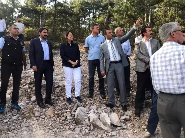 Milletvekili Günay'dan yanan ormanlık alanda inceleme