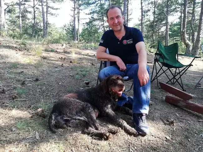 Kütahya'da av sezonu açılıyor