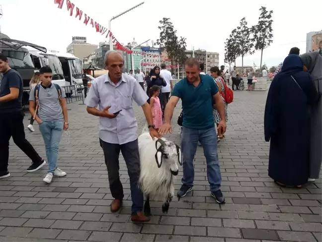 Keçisiyle Taksim'e çıktı, vatandaşların ilgi odağı oldu