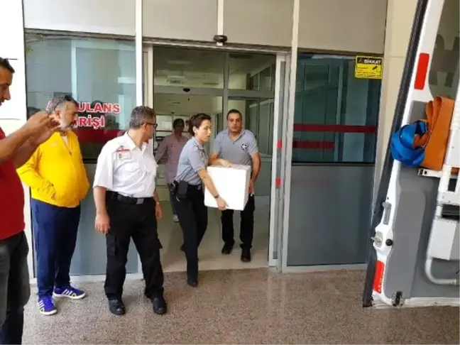 Kazada kopan bacağı, özel soğutmalı kutuyla hastaneye yetiştirildi