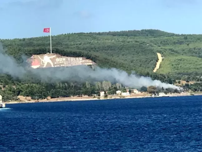 Çanakkale'de orman yangını