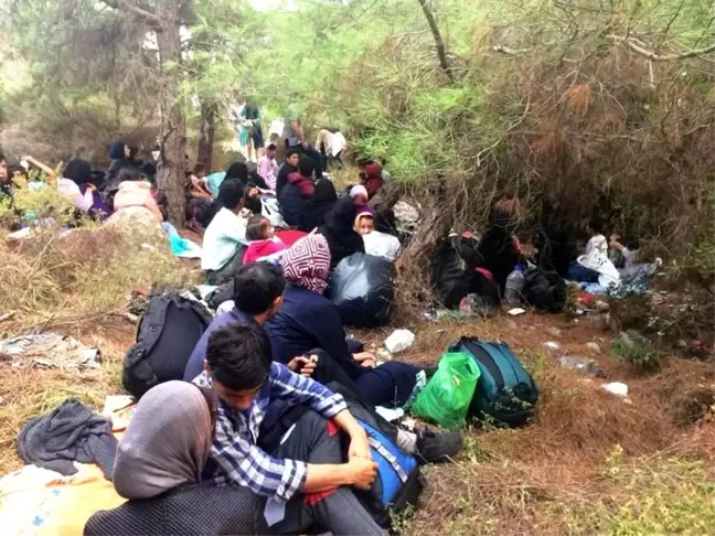 Ayvalık'ta 48 göçmen ve 3 organizatör yakalandı