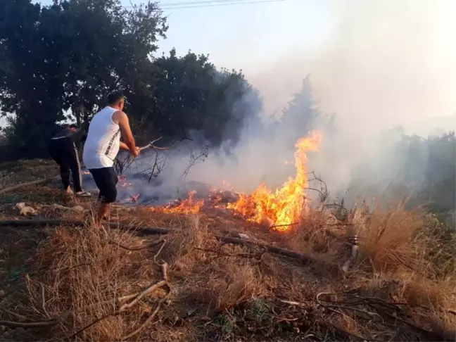 Antalya'da makilik alanda yangın