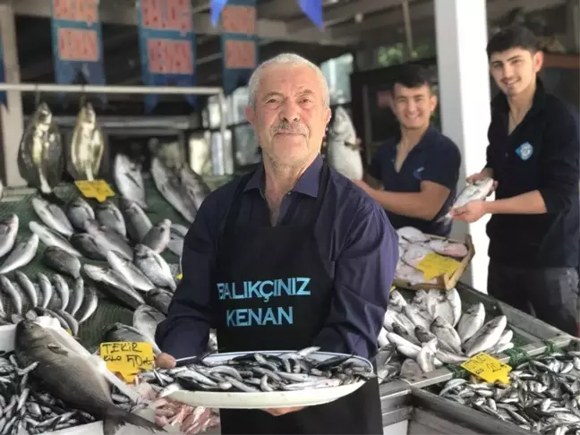 Balıkçı Kenan Balcı: