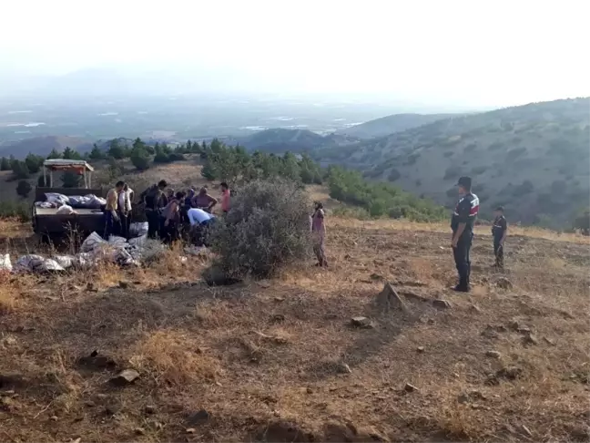 Freni patlayan traktör şarampole devrildi: 2'si ağır 4 yaralı