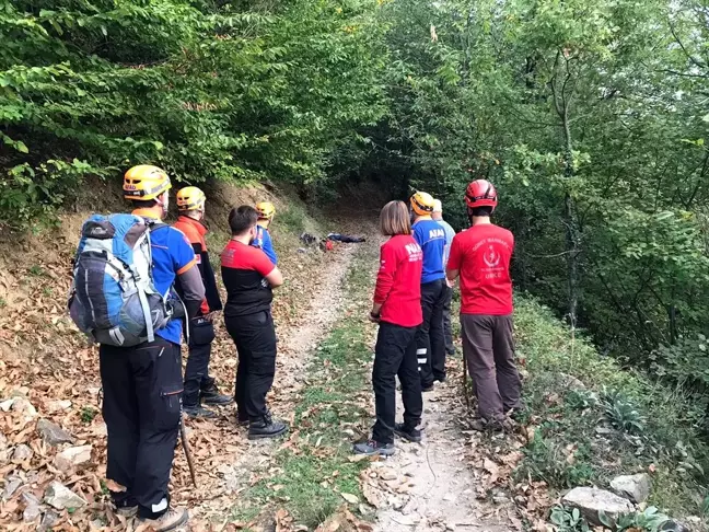Kestane ağacından düşen kişi öldü