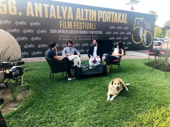 Altın Portakal'da canlı yayının davetsiz sevimli misafiri