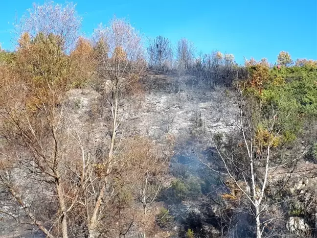 Kütahya Emet'te orman yangını
