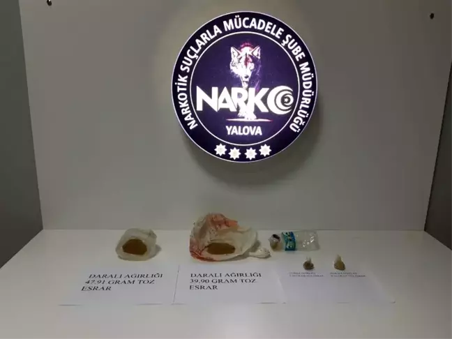 Yalova'da şok uyuşturucu operasyonları: 192 gözaltı