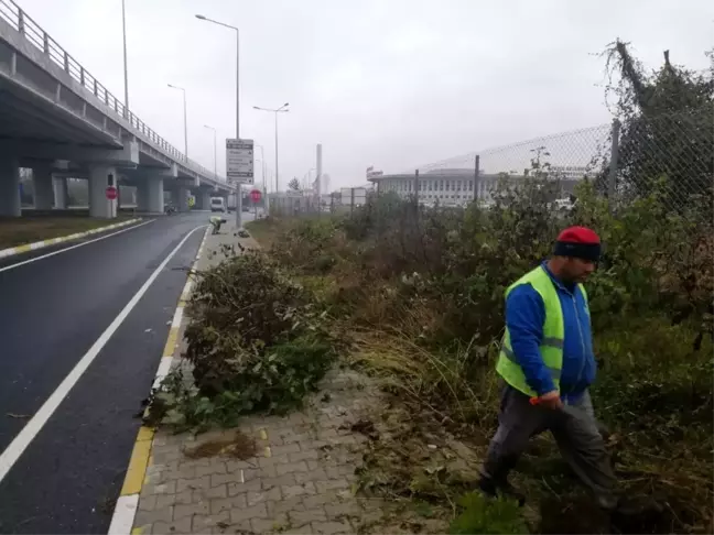 Yeni çevre yolu refüjlerinde temizlik yapıldı