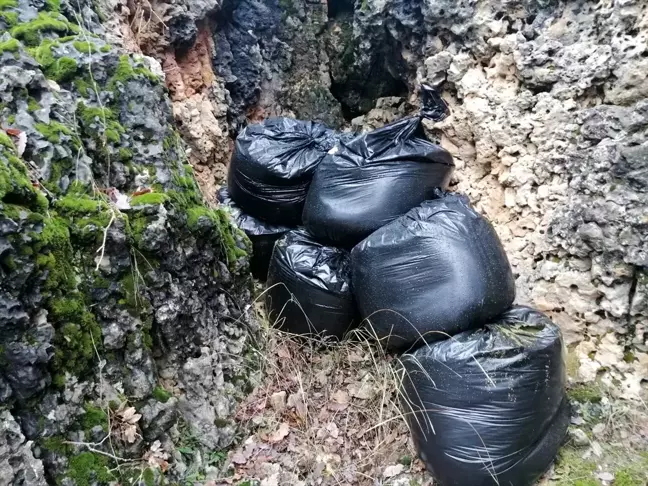 Diyarbakır'da 364 kilogram esrar ele geçirildi