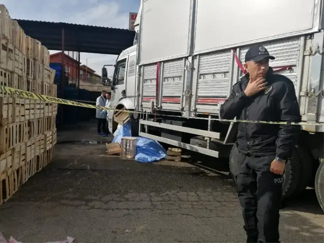 Geri manevra yapan kamyonun ezdiği kadın hayatını kaybetti