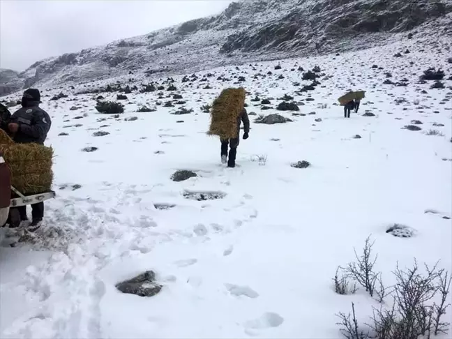 Yaban hayvanları için doğaya yem bırakıldı