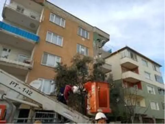 Bursa'da kedi kurtarma operasyonu