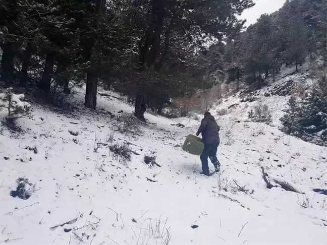 Kastamonu'da yaban hayvanları için doğaya yem bırakıldı