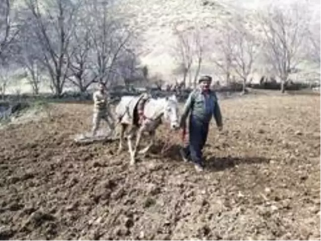 Uludure'de atlarla tarla sürdüler