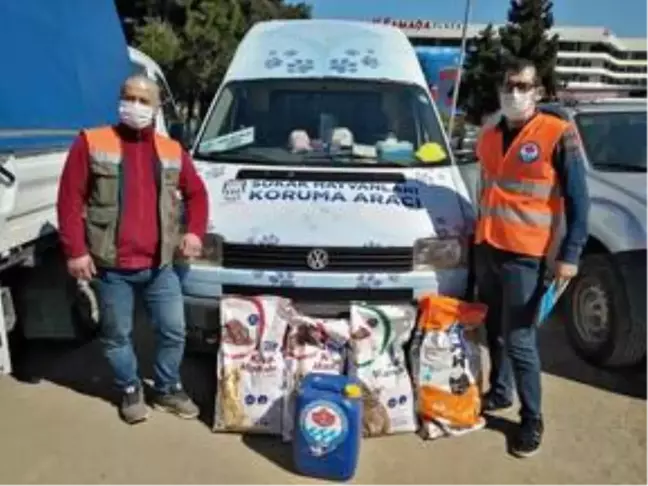 Trabzon'da hayvanlar için sokaklara 5 bin kilogram mama bırakıldı