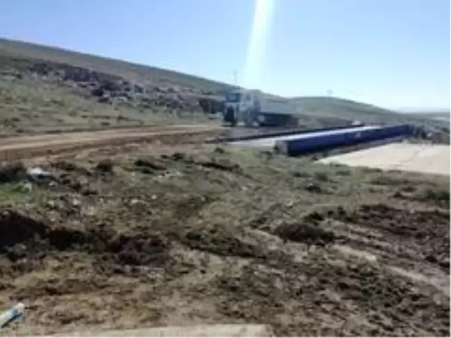 Kaman ilçesinde 300 aşılı ceviz fidanı toprakla buluştu