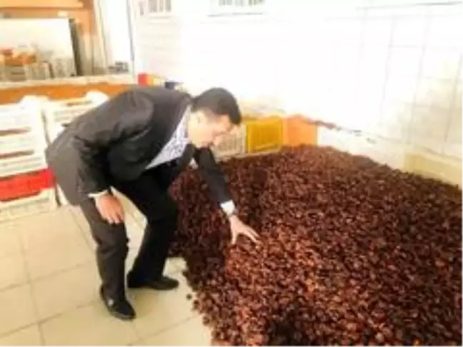 Eski Bakan Tüfenkci'den plazma tedavisi değerlendirmesi