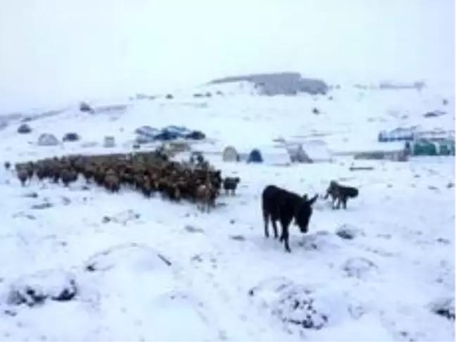 Göçerler baharda kışa yakalandı