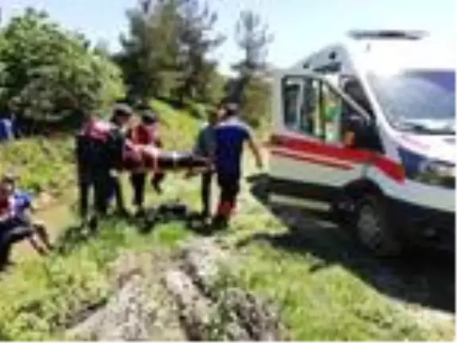 Kayıp Alzheimer hastası, baygın bulundu
