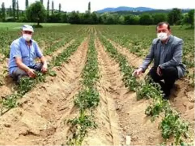 Başkan Yusuf Çalışkan: