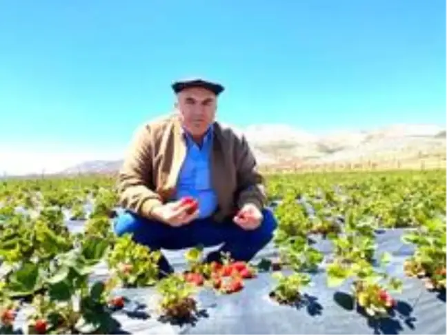 Bayram: