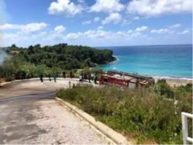 Alanya'da çalılık yangını