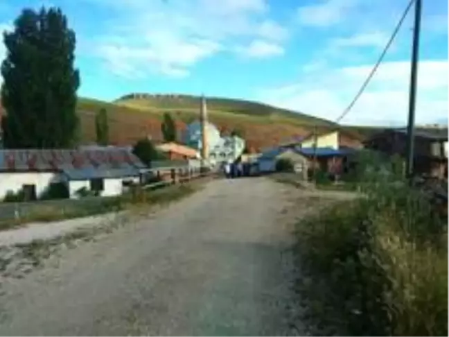 Türkiye'nin köy zengini şehri: Sivas