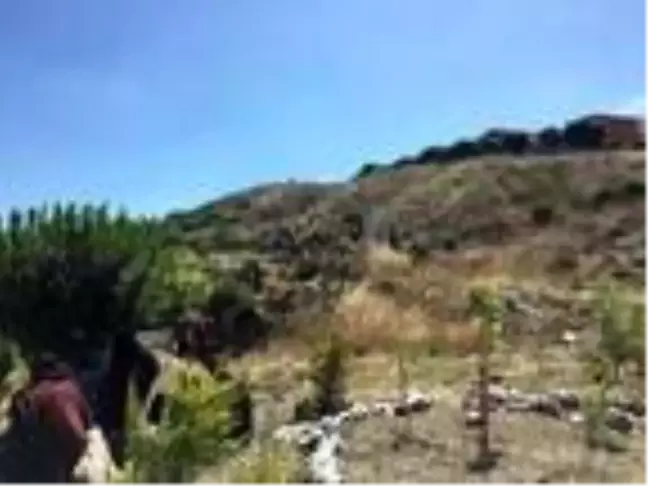 Otları tutuştururken canından oldu