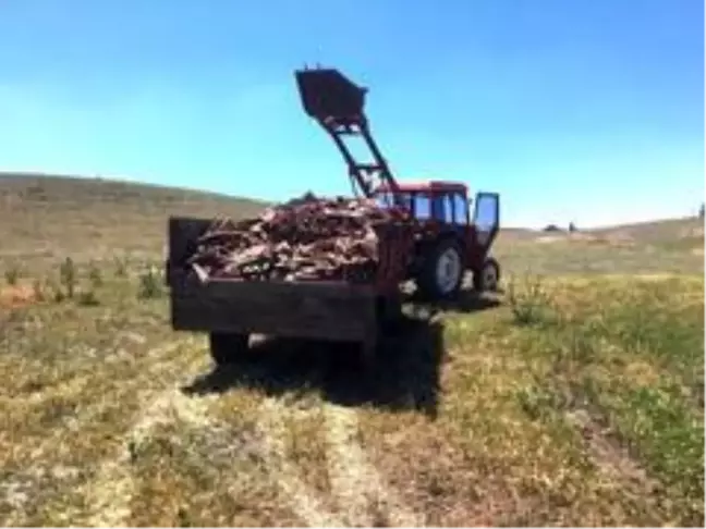 Son dakika haberi... Kütahya'da çevreyi kirleten kişiler hakkında soruşturma başlatıldı