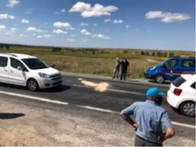 Kırklareli'de hafif ticari araç eşek arabasına çarptı: 1 ölü