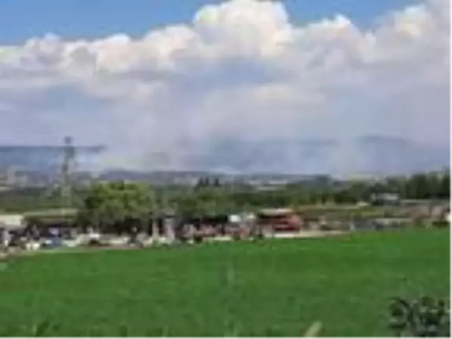 Çanakkale'de orman yangını