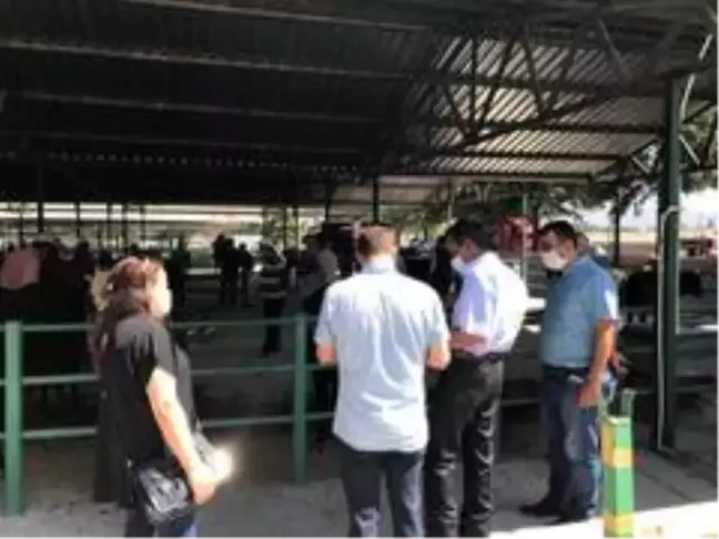 Isparta'da hayvan pazarlarında denetimler arttırıldı