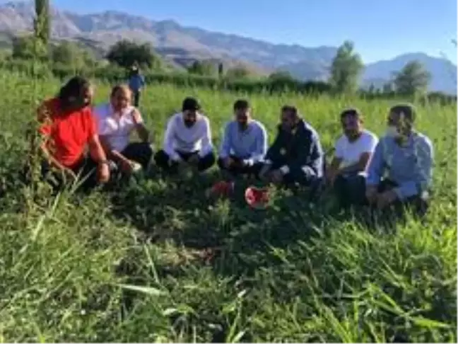 Erzincan'da karpuz hasadı başladı