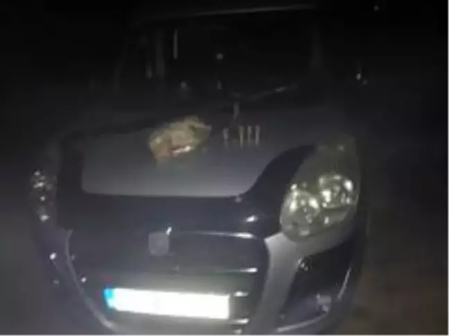 Osmancık'ta kaçak avcı operasyonu