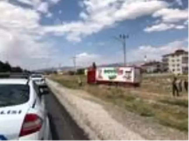 Arı sokunca bayılan TIR şoförü kaza yaptı