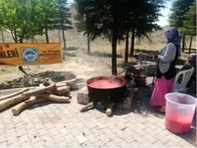 Belsin'de domatesler salça oluyor, kazanlar kaynıyor