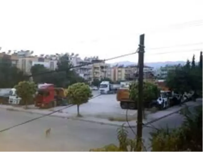 Ahmet Gazi Caddesi sakinleri, Milas Belediyesi'nin yeşil alanı korumasını istedi
