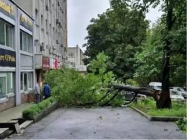 Maysak tayfunu Rusya'yı vurdu