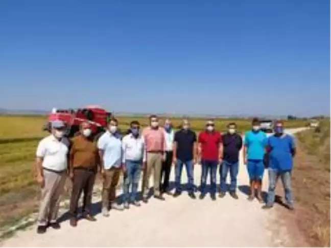Biga'da çeltik hasadı yapıldı