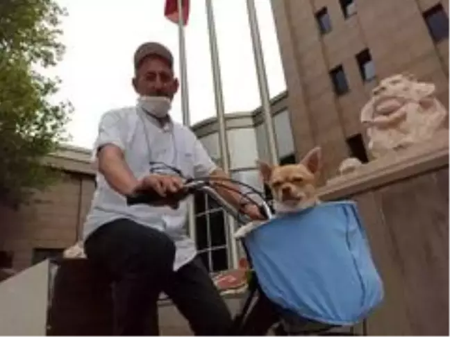 Bisikletle gezmeyi seven minik köpek
