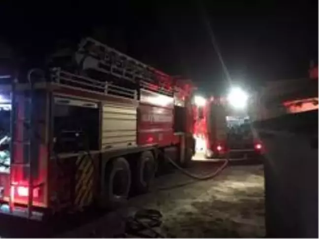 Son dakika... Ulaş'ta çıkan yangında ahır ve odunluk kül oldu
