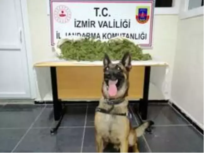 İzmir'de 8,5 kilogram uyuşturucu ele geçirildi