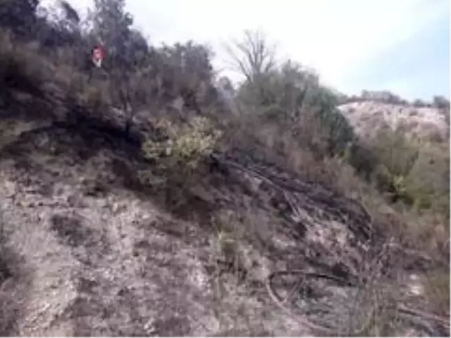Küçük çaplı yangın paniğe neden oldu