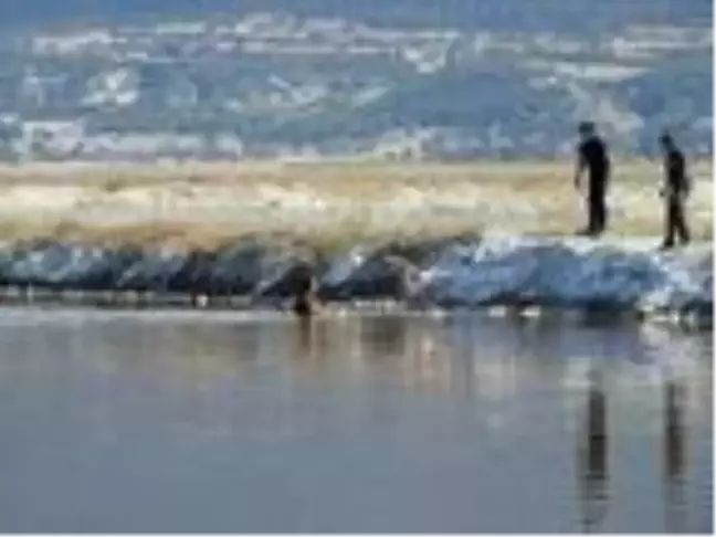 Denizli'de yaralı bulunan flamingo, tedavisinin ardından doğaya bırakıldı