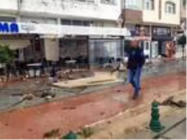 Tekirdağ'da hortum ağaçları devirdi, çatıları uçurdu (2)